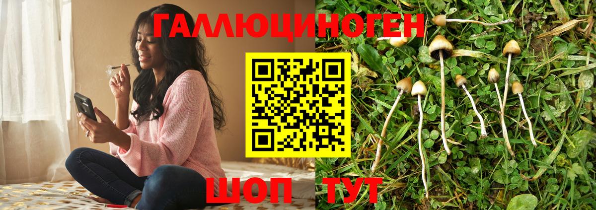 Ессентуки  Псилоцибиновые грибы мухоморы  Вход с VPN  Псилоцибиновые грибы мицелий 