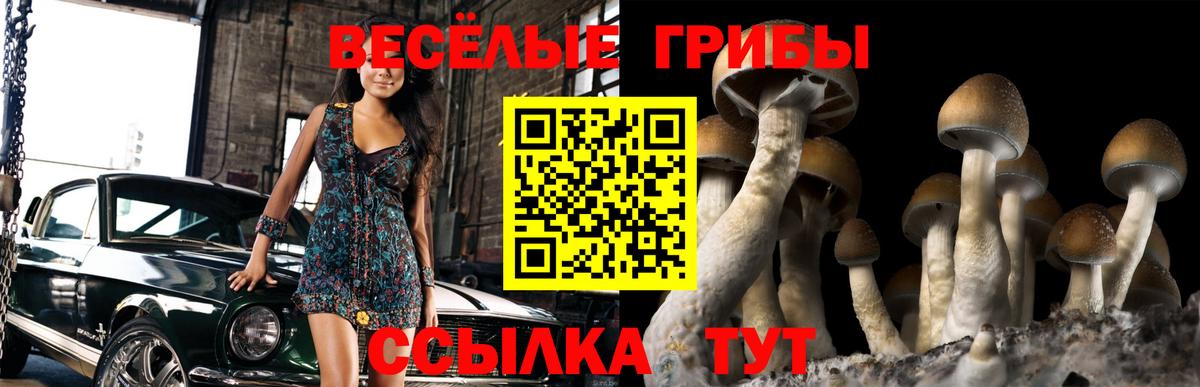 Меф Ессентуки