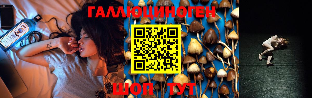 Псилоцибиновые грибы мухоморы Ессентуки