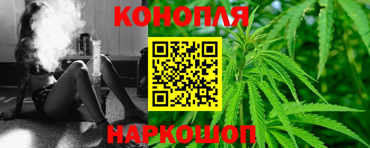 Бошки Шишки конопля Ессентуки